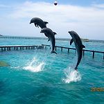 Cocoliso Resort